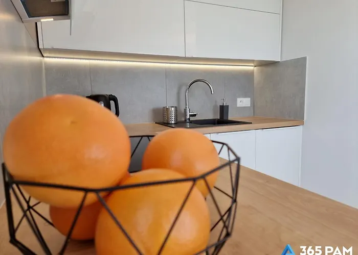 365pam - Poludniowy * Gąski