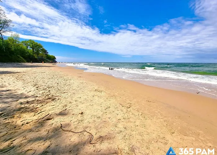 365pam - Poludniowy * Gąski